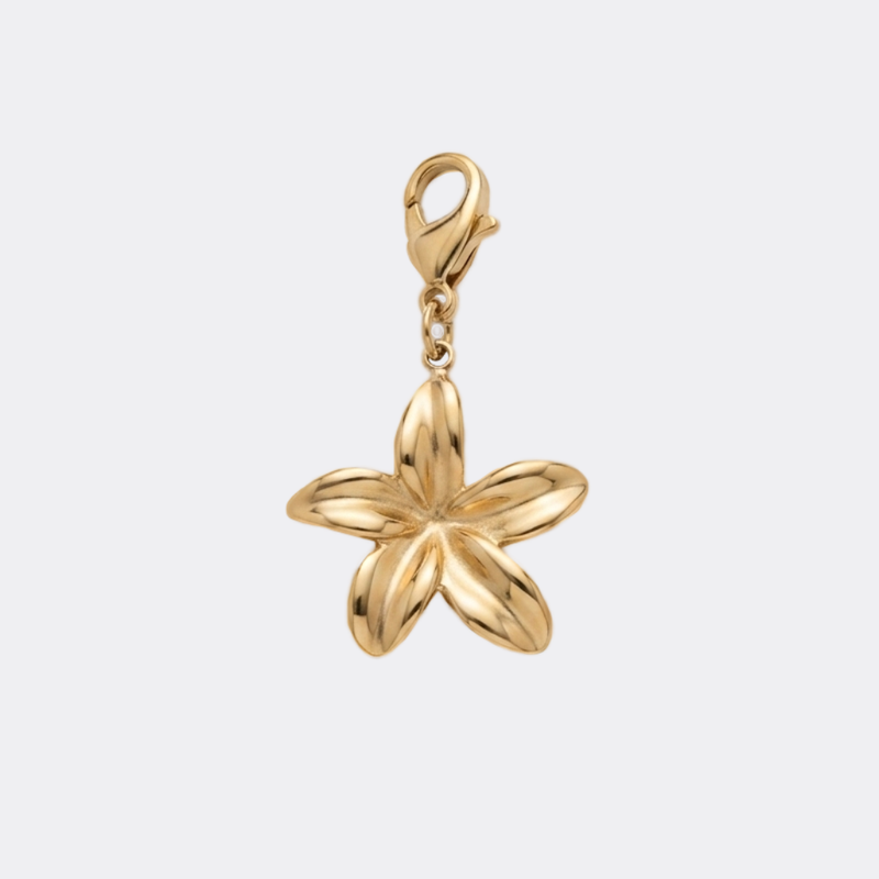 Tous les charms dorés