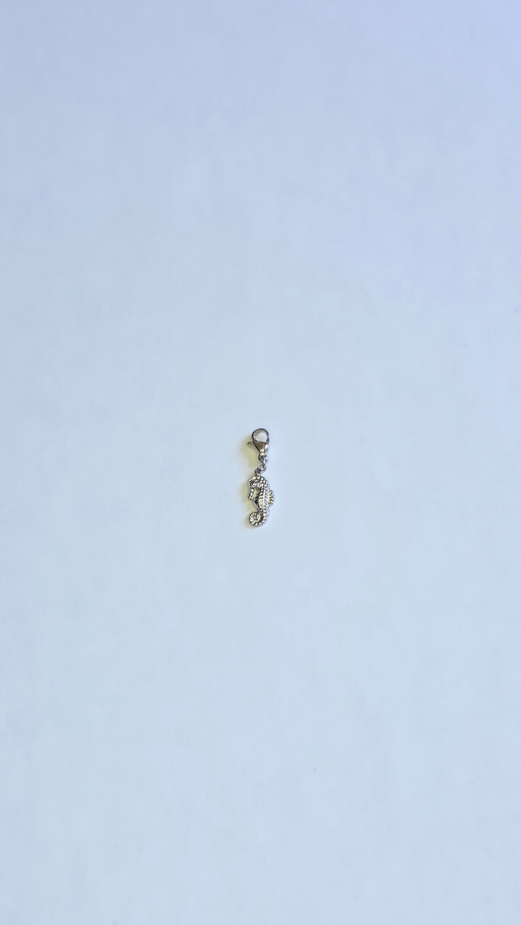 Charm Hippocampe argenté en acier inoxydable