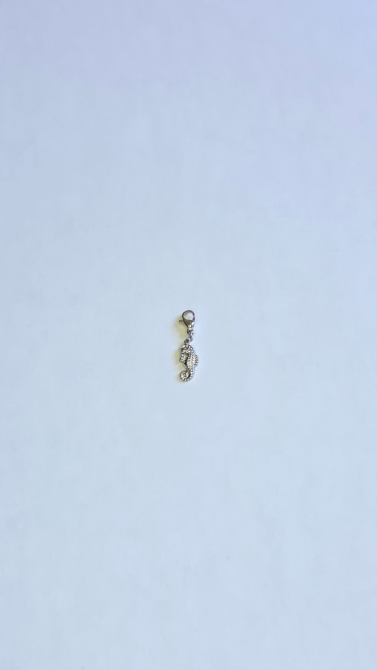 Charm Hippocampe argenté en acier inoxydable